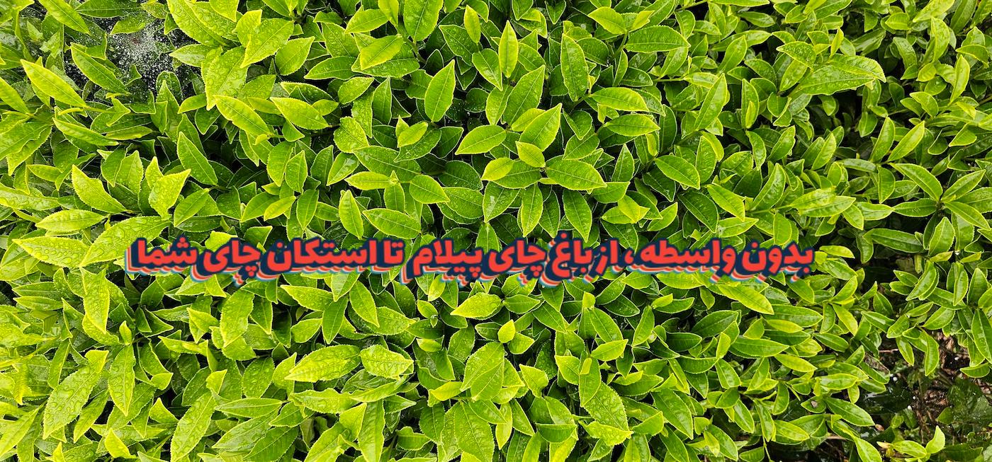 slide-image-undefined